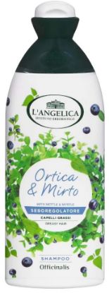 Immagine di SHAMPOO ANGELICA 250ml SEBOREG GRASSI 1pz - C12