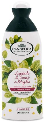 Immagine di SHAMPOO ANGELICA 250ml FORTIFICANTE NORMALI 1pz - C12