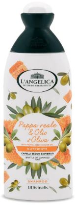 Immagine di SHAMPOO ANGELICA 250ml NUTRIENTE SECCHI SFIBRATI 1pz - C12