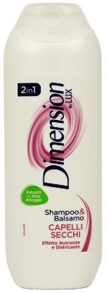 Immagine di SHAMPOO DIMENSION 250ml 2/1 SECCHI VIOLA 1pz - C12