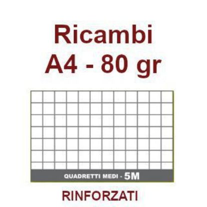 Immagine di RICAMBI A4 80gr 5mm RINFORZATI 40f