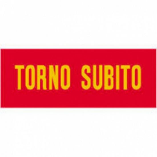 Immagine di TARGA TORNO SUBITO 15X4 C/CATENELLA