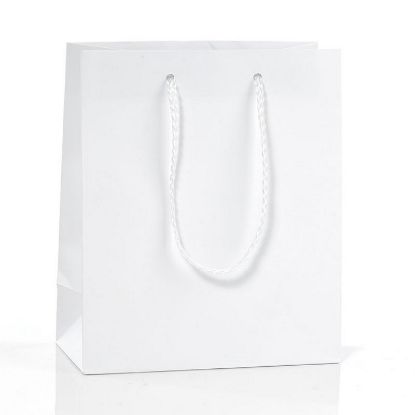 Immagine di SACCHETTI SHOPPER RINFORZATA BIANCO 16x8x19cm 12pz CON MANICO CORDA