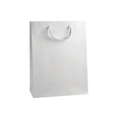 Immagine di SACCHETTI SHOPPER RINFORZATA BIANCO 16x8x19cm 12pz CON MANICO CORDA