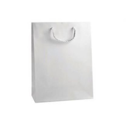 Immagine di SACCHETTI SHOPPER RINFORZATA BIANCO 36x12x41cm 12pz CON MANICO CORDA