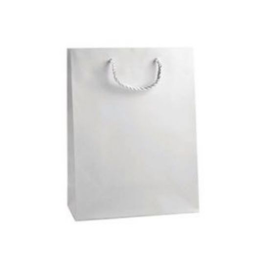 Immagine di SACCHETTI SHOPPER RINFORZATA BIANCO 10x12+6,5cm 12pz CON MANICO CORDA