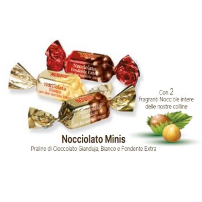 Immagine di NOVI MINI NOCCIOLATO 500gr SACCO