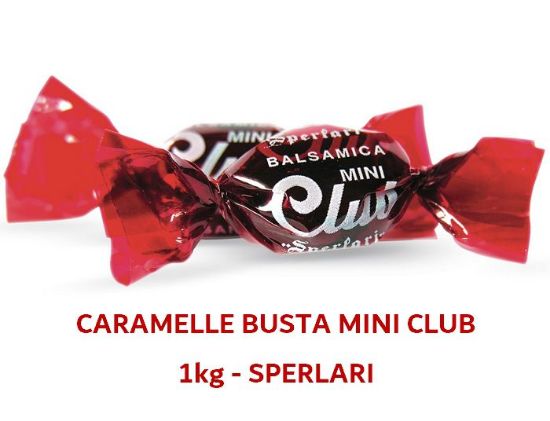 Immagine di SPERLARI BUSTA MINI CLUB 1kg