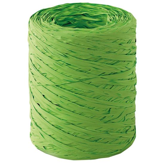 Immagine di NASTRI 15mm POLYRAPHIA 200mt 1pz VERDE CHIARO