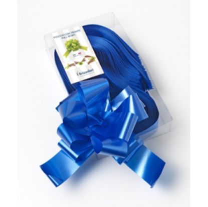 Immagine di COCCARDE STRIP 50mm 30pz BLU