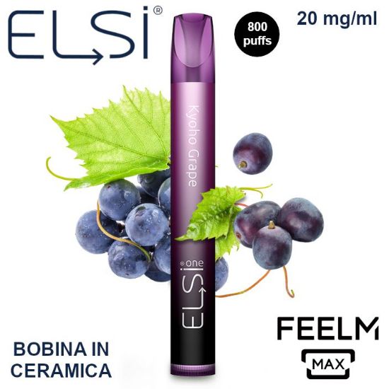 Immagine di ELSI ONE 1pz 20mg/ml GRAPE KYOHO FEELM - PLN011504