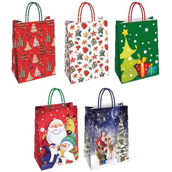 Picture of SACCHETTI SHOPPER NATALE CARTA FLORIO 23x10x29cm 25pz ASS. NATALE 1