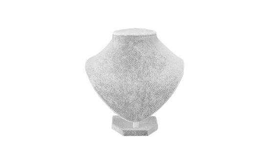 Immagine di ESPOSITORE NAVIGARE VETRINA BUSTO (acquistando 350euro)