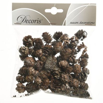 Immagine di DECORO PIGNE 45GR NATURALI