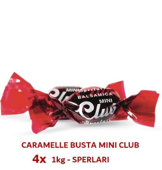 Immagine di SPERLARI BUSTA MINI CLUB 4x1kg - composto da: