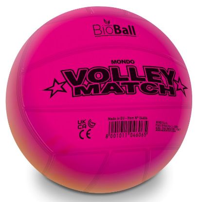 Immagine di PALLONE VOLLEY RAINBOW MATCH 1pz D.216 SGONFIO