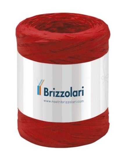 Immagine di NASTRI 15mm POLYRAPHIA 50mt 1pz ROSSO