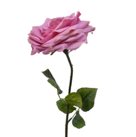 Picture of FIORE ROSA H53cm VELLUTO ROSA