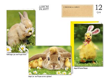 Picture of BIGLIETTI CROMO PASQUA FOTOGRAFICO 12pz