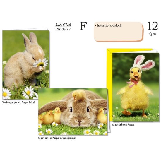 Immagine di BIGLIETTI CROMO PASQUA FOTOGRAFICO 12pz