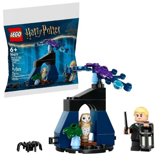 Immagine di LEGO HARRY POTTER DRACO NELLA FORESTA PROIBITA