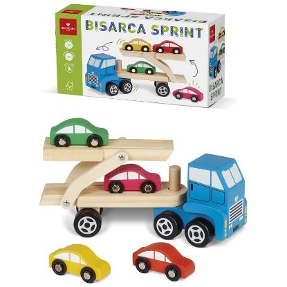 Immagine di GIOCHI BISARCA SPRINT FSC