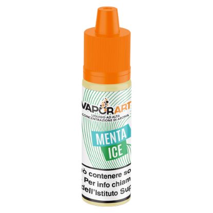 Immagine di VAPORART AROMA PLA MINI SHOT - MENTA ICE - 10ml PL0014905