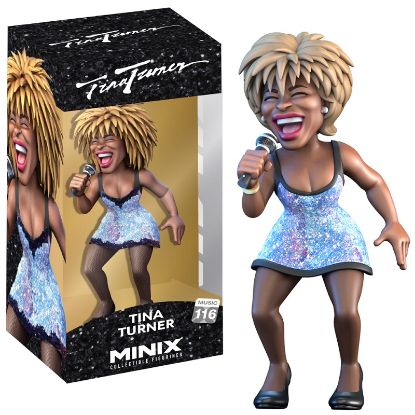 Immagine di MINIX MUSIC - TINA TURNER