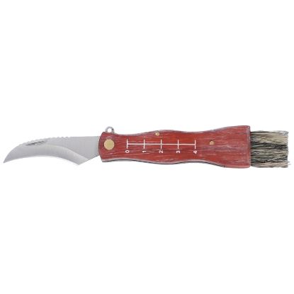 Immagine di COLTELLI PIEGHEVOLE 1pz 17cm PER FUNGHI
