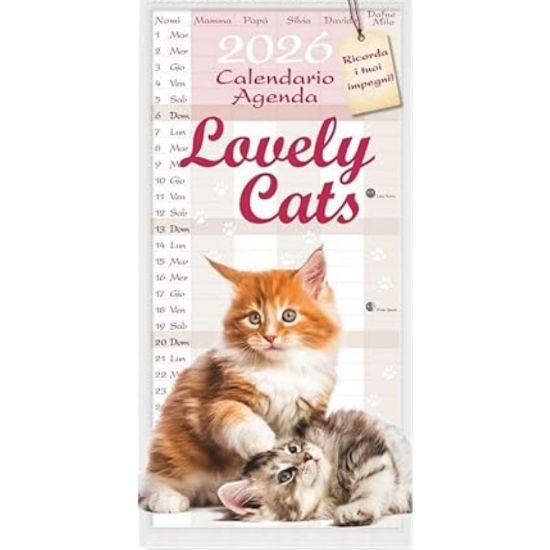 Picture of CALENDARI AGENDA LOVELY CATS 1pz 2026