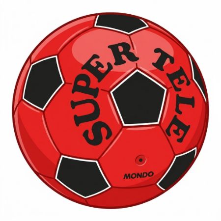 Immagine per la categoria PALLONI
