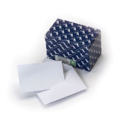 Immagine di BIGLIETTI VISITA BRISTOL 74x112mm 100/100 BIANCO