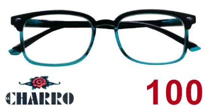 Immagine di OCCHIALI GRAD. IOI CHARRO HAWAII (da 1.00) 1pz NERO BLU