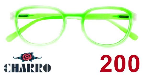 Immagine di OCCHIALI GRAD. IOI CHARRO MAINE (da 2.00) 1pz VERDE
