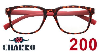 Immagine di OCCHIALI GRAD. IOI CHARRO MARYLAND (da 2.00) 1pz ROSSO