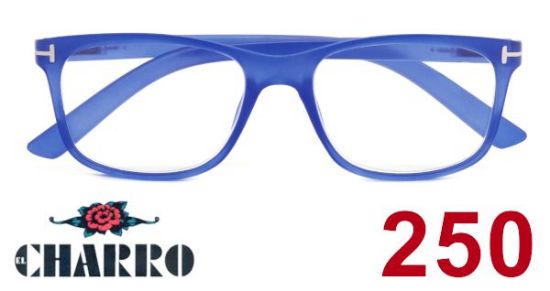 Immagine di OCCHIALI GRAD. IOI CHARRO WASHINGTON (da 2.50) 1pz BLU