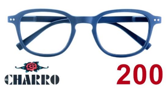 Immagine di OCCHIALI GRAD. IOI CHARRO DAKOTA (da 2.00) 1pz BLU