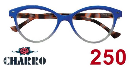 Immagine di OCCHIALI GRAD. IOI CHARRO GEORGIA (da 2.50) 1pz BLU