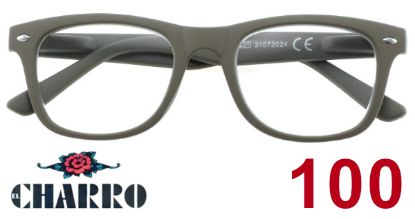 Immagine di OCCHIALI GRAD. IOI CHARRO ARKANSAS (da 1.00) 1pz GRIGIO