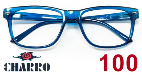 Immagine di OCCHIALI GRAD. IOI CHARRO MINESOTA (da 1.00) 1pz BLU