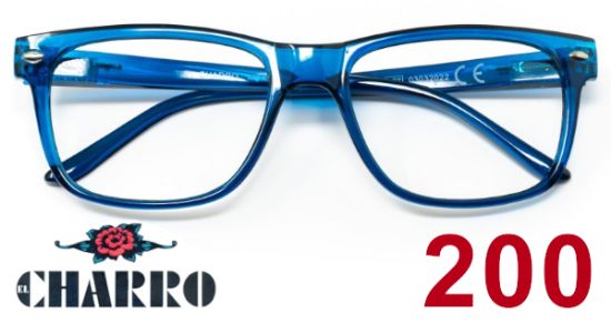 Immagine di OCCHIALI GRAD. IOI CHARRO MINESOTA (da 2.00) 1pz BLU