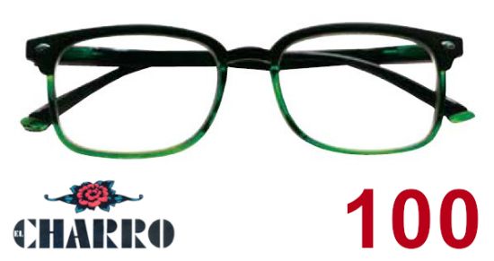 Immagine di OCCHIALI GRAD. IOI CHARRO HAWAII (da 1.00) 1pz NERO VERDE