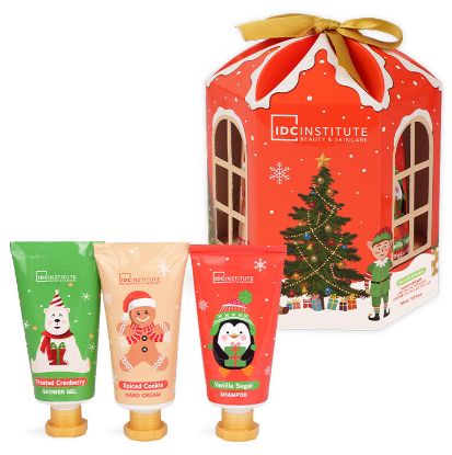 Immagine di COFANETTO AQC COF IDC XMAS FESTIVE MINI TREATMENT 3 ART